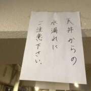 ヒメ日記 2026/03/16 12:48 投稿 晃実(てるみ) PLUS十三店
