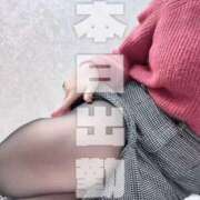 ヒメ日記 2026/04/04 09:08 投稿 晃実(てるみ) PLUS十三店