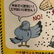 ヒメ日記 2026/06/25 15:38 投稿 晃実(てるみ) PLUS十三店