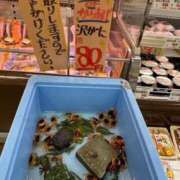 ヒメ日記 2026/07/06 14:38 投稿 晃実(てるみ) PLUS十三店