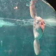 ヒメ日記 2026/07/07 15:18 投稿 晃実(てるみ) PLUS十三店