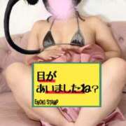 大城　いろは 世界猫の日 妻の本音