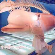 ヒメ日記 2026/02/24 18:50 投稿 KANAMI『カナミ』 GG