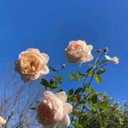 小嶋 りこ 空き状況🍒´- マーベリック横浜