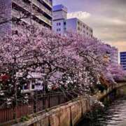 ヒメ日記 2026/03/30 20:04 投稿 小嶋 りこ マーベリック横浜