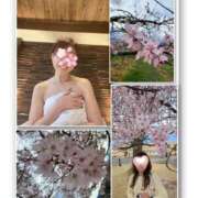 ヒメ日記 2025/03/30 08:50 投稿 みお 奥鉄オクテツ神奈川店（デリヘル市場グループ）