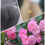 ヒメ日記 2025/05/21 11:15 投稿 みお 奥鉄オクテツ神奈川店（デリヘル市場グループ）