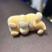 ヒメ日記 2025/01/30 17:05 投稿 星羅(せいら) エクレア神田-ECLAIR-天然貴姉乳舐手淫