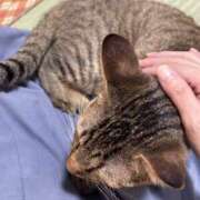 ヒメ日記 2025/09/05 18:28 投稿 星羅(せいら) エクレア神田-ECLAIR-天然貴姉乳舐手淫