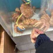 ヒメ日記 2025/11/04 10:45 投稿 星羅(せいら) エクレア神田-ECLAIR-天然貴姉乳舐手淫