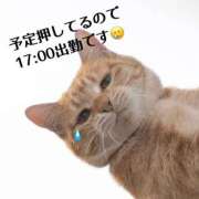 まりん☆圧倒的な天然美女!! 予定通りに進むことがない！ ジャックと豆の木