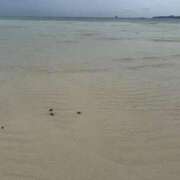 ヒメ日記 2025/05/21 18:26 投稿 三沢 静香 ～逢～tokyo