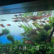 ヒメ日記 2025/05/23 20:56 投稿 三沢 静香 ～逢～tokyo