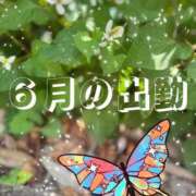 三沢 静香 月初のお知らせ📢 ～逢～tokyo
