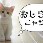 ヒメ日記 2024/12/22 13:40 投稿 宮野しほ 華女 第二章