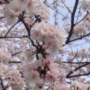 ヒメ日記 2025/04/01 18:58 投稿 宮野しほ 華女 第二章