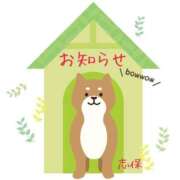 ヒメ日記 2025/04/21 15:20 投稿 宮野しほ 華女 第二章