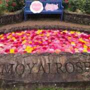 ヒメ日記 2025/05/30 19:24 投稿 宮野しほ 華女 第二章