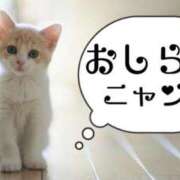 ヒメ日記 2025/07/10 09:34 投稿 宮野しほ 華女 第二章