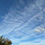 ヒメ日記 2025/10/28 21:08 投稿 宮野しほ 華女 第二章