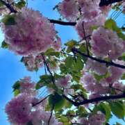 ヒメ日記 2026/04/07 14:07 投稿 宮野しほ 華女 第二章