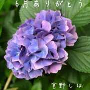 ヒメ日記 2026/07/03 10:56 投稿 宮野しほ 華女 第二章