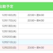 ヒメ日記 2024/12/16 23:05 投稿 吉野ひめか 麗しいマダム