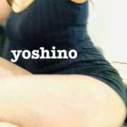 ヒメ日記 2025/10/03 00:05 投稿 吉野ひめか 麗しいマダム