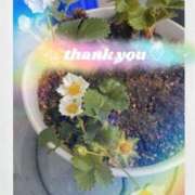 さくや ⭐︎感謝⭐︎ 熟女家 京橋店