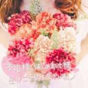 ヒメ日記 2024/12/29 20:22 投稿 れいな 春日部人妻花壇