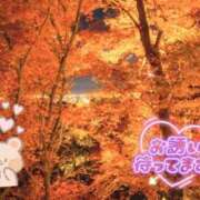 ヒメ日記 2025/11/09 21:21 投稿 れいな 春日部人妻花壇