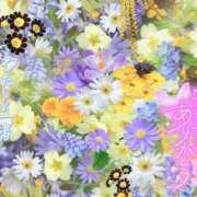 ヒメ日記 2025/11/13 17:02 投稿 れいな 春日部人妻花壇