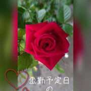 ヒメ日記 2025/04/27 12:14 投稿 ★りんか★ 秘密の電停  岡山店（カサブランカグループ）