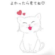 ヒメ日記 2025/06/22 13:12 投稿 ★りんか★ 秘密の電停  岡山店（カサブランカグループ）