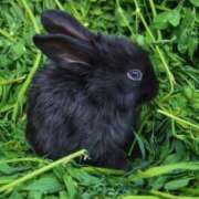 ヒメ日記 2025/10/14 19:25 投稿 らな 舐めフェチの会