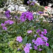 ヒメ日記 2024/12/21 11:49 投稿 きりん 熟女の風俗最終章 仙台店