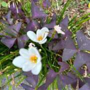 ヒメ日記 2025/01/08 18:31 投稿 きりん 熟女の風俗最終章 仙台店