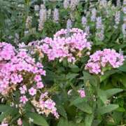 ヒメ日記 2025/02/21 16:34 投稿 きりん 熟女の風俗最終章 仙台店