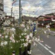 ヒメ日記 2025/02/26 17:14 投稿 きりん 熟女の風俗最終章 仙台店