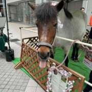ヒメ日記 2025/04/25 14:24 投稿 きりん 熟女の風俗最終章 仙台店