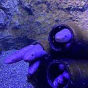 ヒメ日記 2026/02/22 21:34 投稿 きりん 熟女の風俗最終章 仙台店