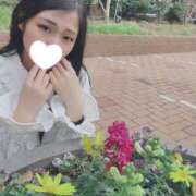 ヒメ日記 2025/01/26 19:08 投稿 とあ 赤坂プリンセス