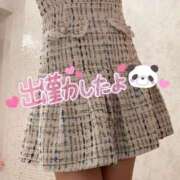 ヒメ日記 2024/12/16 18:45 投稿 みま ハピネス東京 吉原店