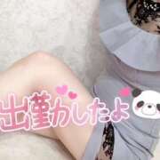 ヒメ日記 2025/04/02 19:06 投稿 みま ハピネス東京 吉原店