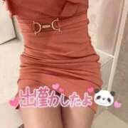 ヒメ日記 2025/04/05 09:06 投稿 みま ハピネス東京 吉原店