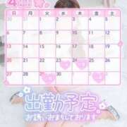 ヒメ日記 2025/04/20 20:06 投稿 みま ハピネス東京 吉原店