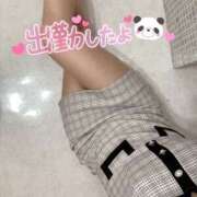 ヒメ日記 2025/04/29 08:46 投稿 みま ハピネス東京 吉原店