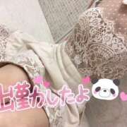 ヒメ日記 2025/05/19 18:26 投稿 みま ハピネス東京 吉原店