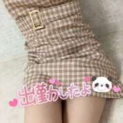 ヒメ日記 2025/06/15 09:06 投稿 みま ハピネス東京 吉原店