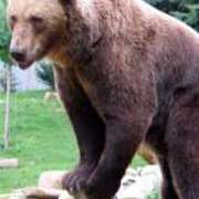 ヒメ日記 2025/11/27 23:34 投稿 はづき パンスト熟女はいやらしい